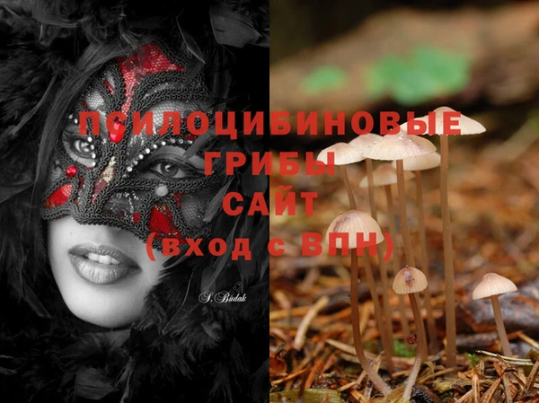 ПСИЛОЦИБИНОВЫЕ ГРИБЫ Вязьма