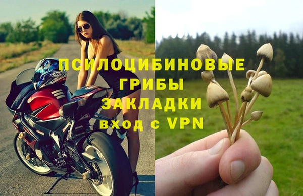 стаф Горняк