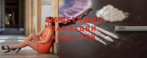 стаф Горняк
