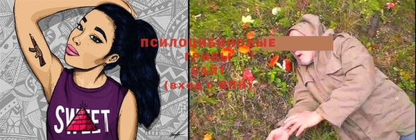 ПСИЛОЦИБИНОВЫЕ ГРИБЫ Вязьма
