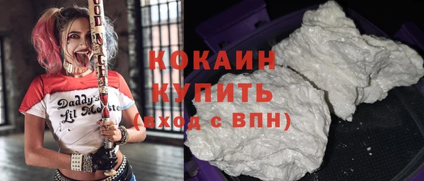 стаф Горняк